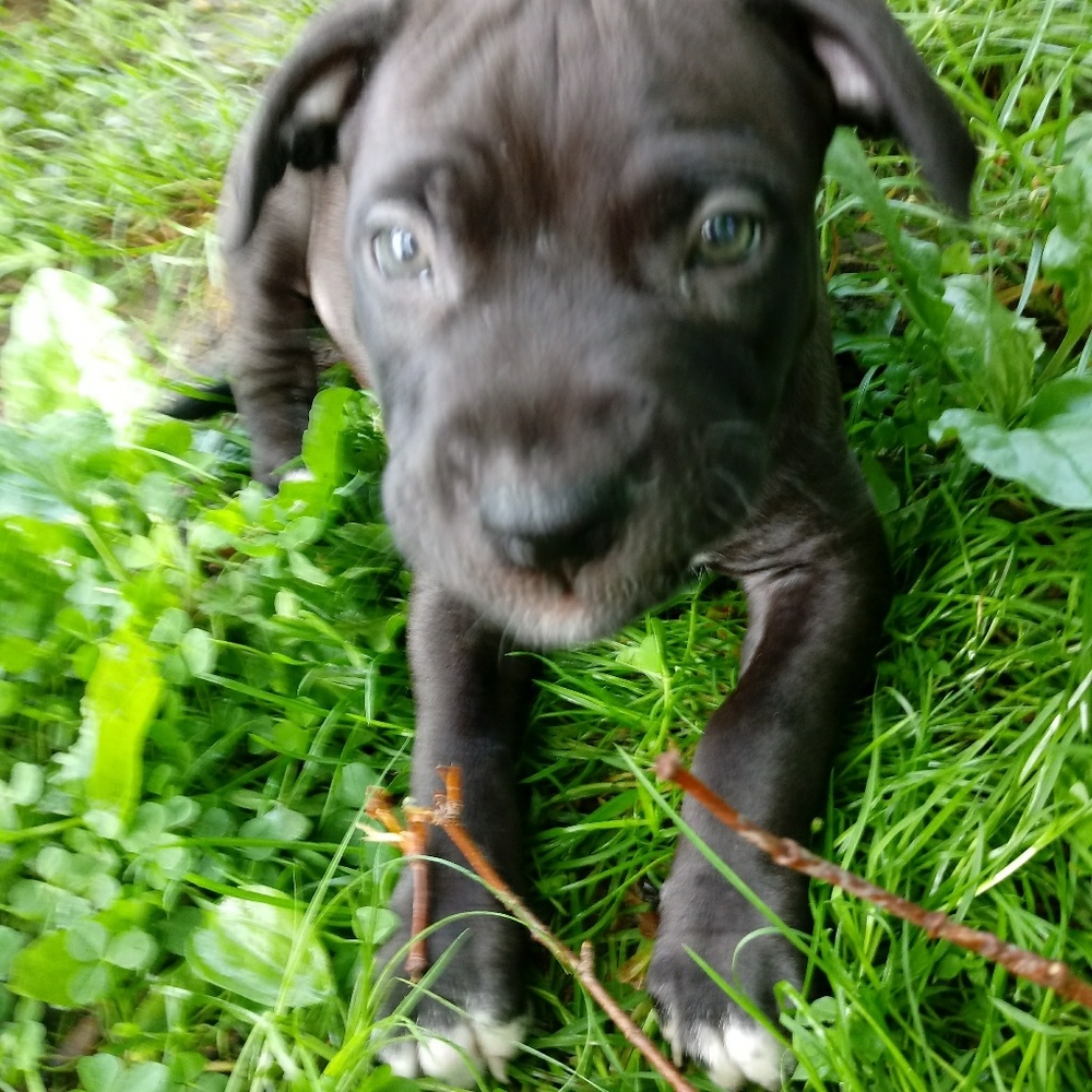 Meet your Posher, Maggie